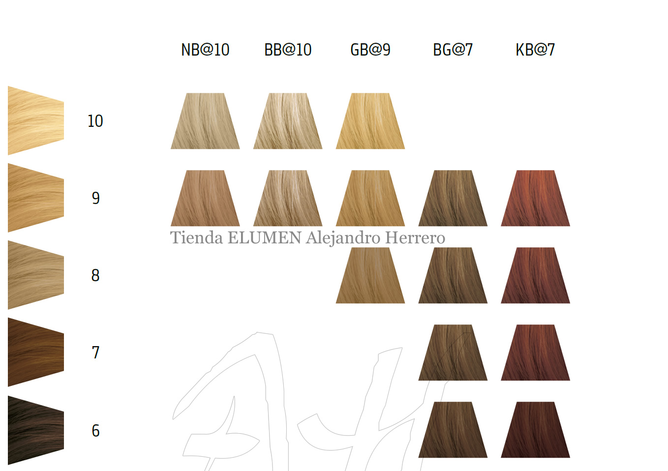 Carta de color ELUMEN WARMS: NB@10, BB@10, BG@9, BG@7, KB@7 